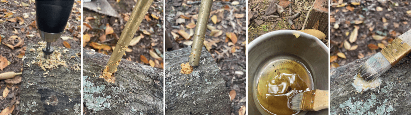 Figure 5. Drilling, filling, and waxing shiitake log inoculation sites. Photo Credit: A. Shabel